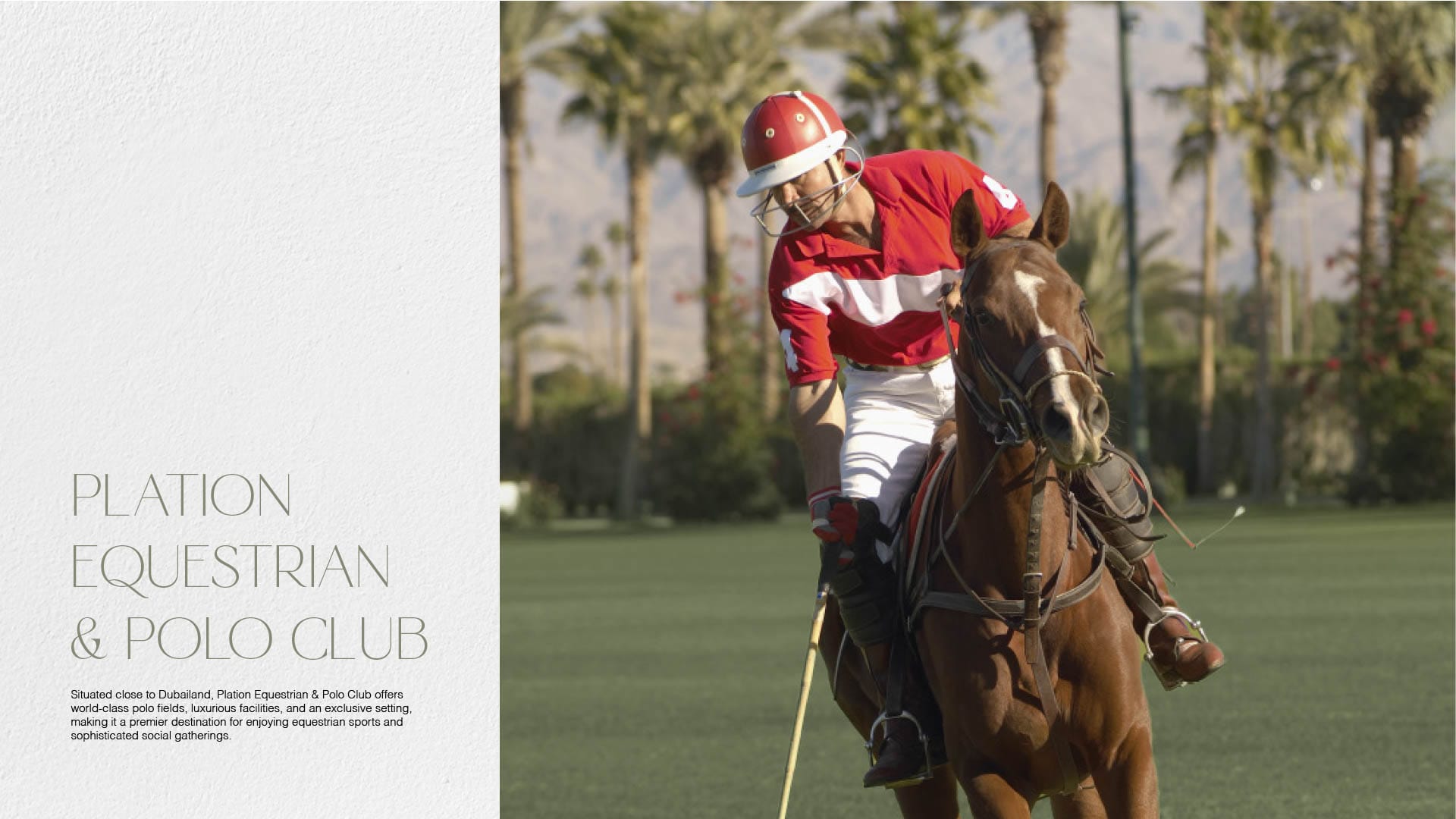 Cove Edition 3_by_Imtiaz Brochure_19